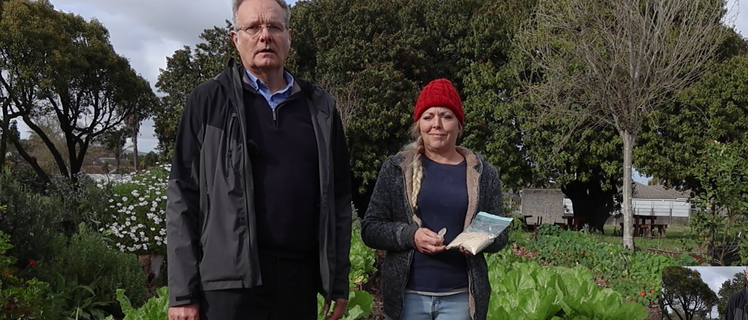 Load video: Video of how you feed the vegetables